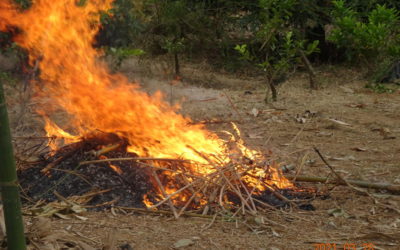 嘉義市政府環境保護局表示 空污季來臨，露天燃燒加重罰則，切勿黑白燒!