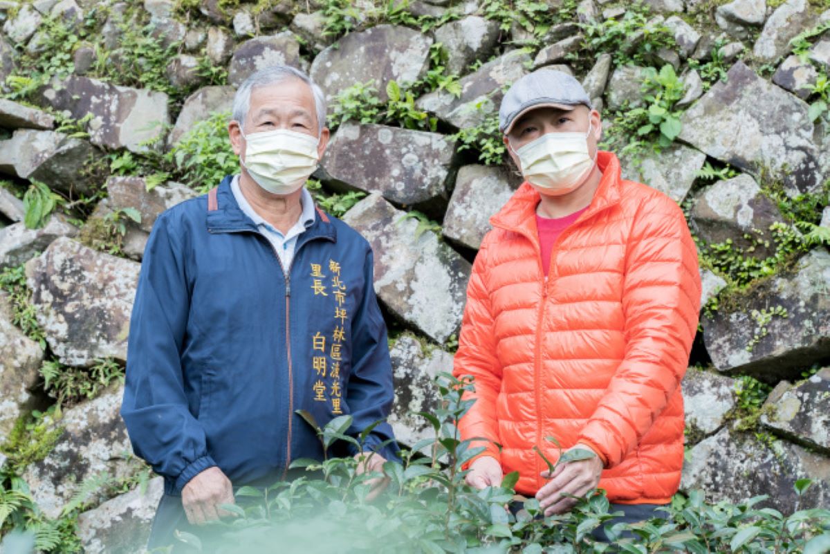 坪林漁光里長白明堂(左一)與其子白錦祥(右一)，秉持環境永續使命，帶頭轉型植茶