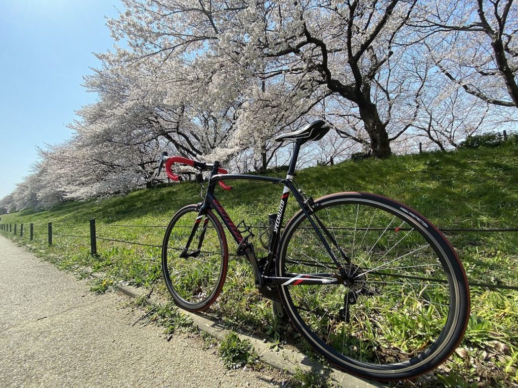 春季可騎乘自行車賞櫻 幸手市觀光協會