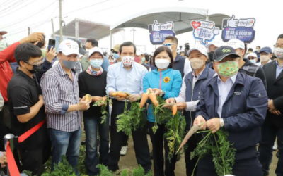東勢國際台灣胡蘿蔔日熱鬧登場　千人拔蘿蔔場面壯觀
