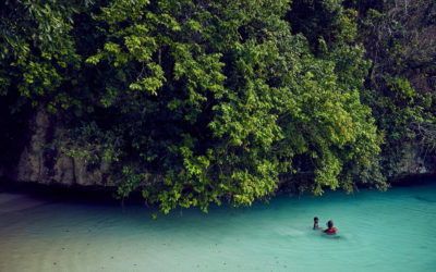 透過永續旅遊守護上帝創造的水族箱，解鎖帛琉深度之旅！