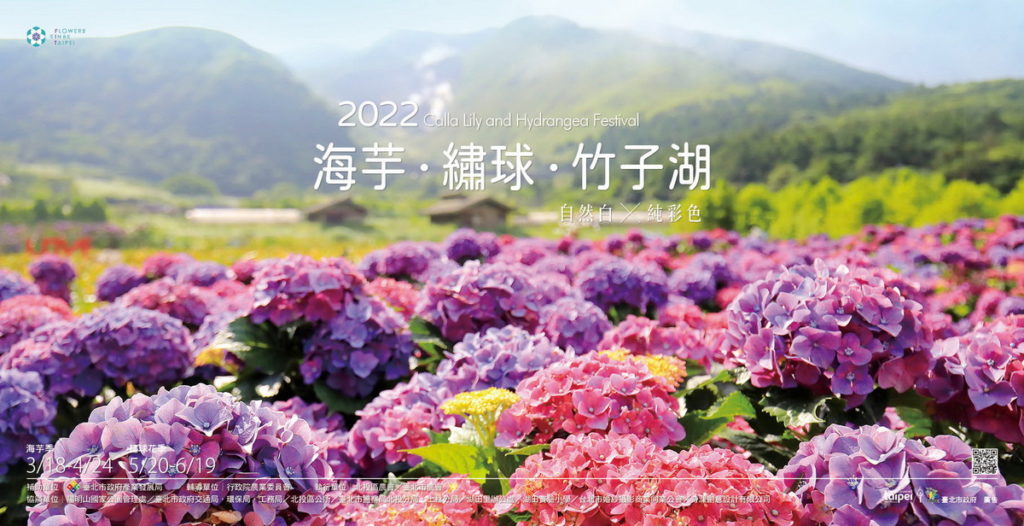 2022竹子湖繡球花季將於520登場(圖片來源_北投區農會)