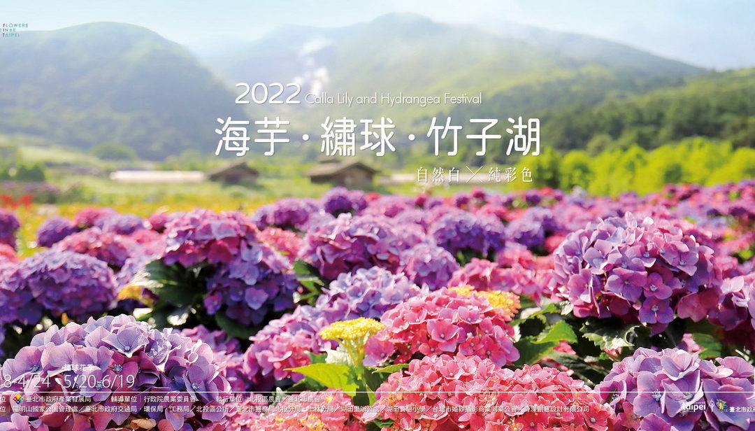 初夏限定 竹子湖繡球花遊旅 開始預約報名