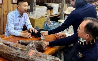 台灣沉香王 郭檜木分享沉香文化　獲收藏家肯定