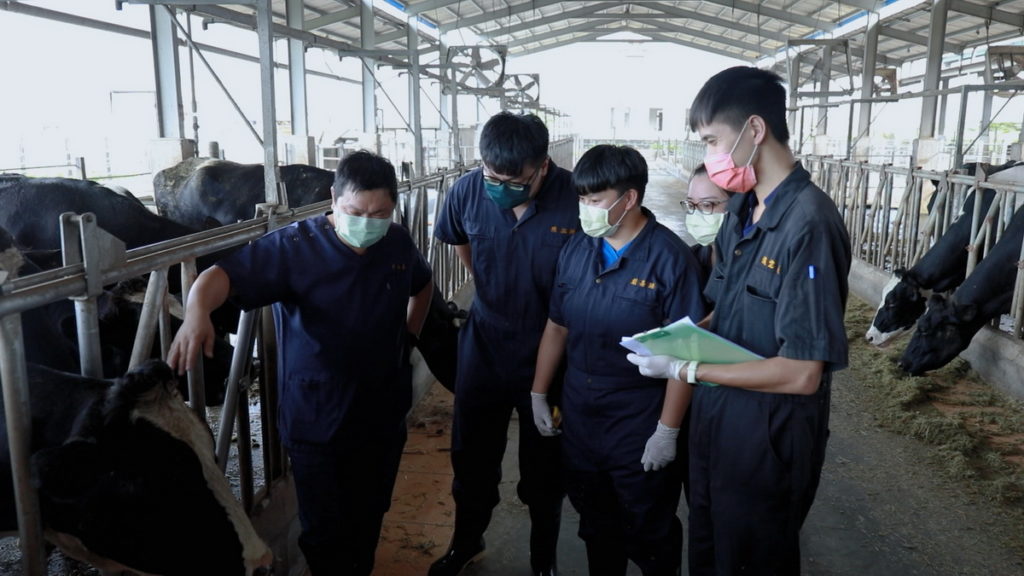 李旭薰博士帶領團隊為戀職人鮮奶合作牧場進行乳牛的健康檢查。