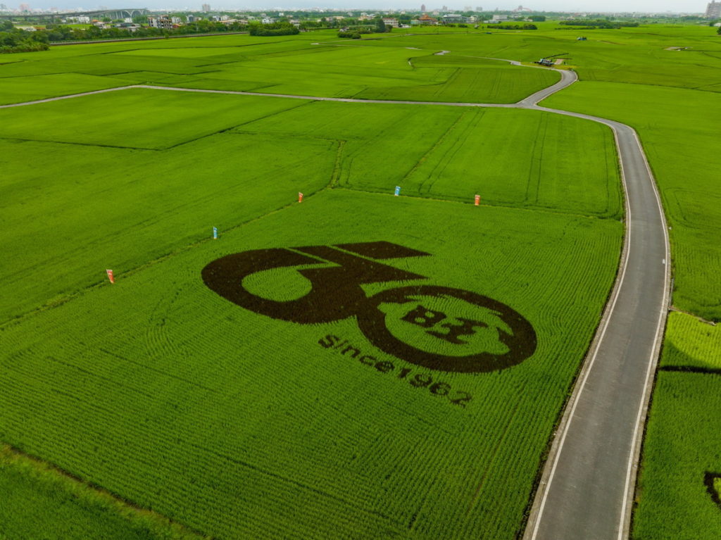 「60、旺」字樣的巨幅彩繪稻⽥，引起許多網美及觀光客前往拍照