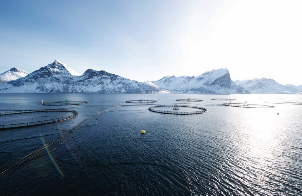 挪威擁有豐富的天然資源，是鮭魚的家園