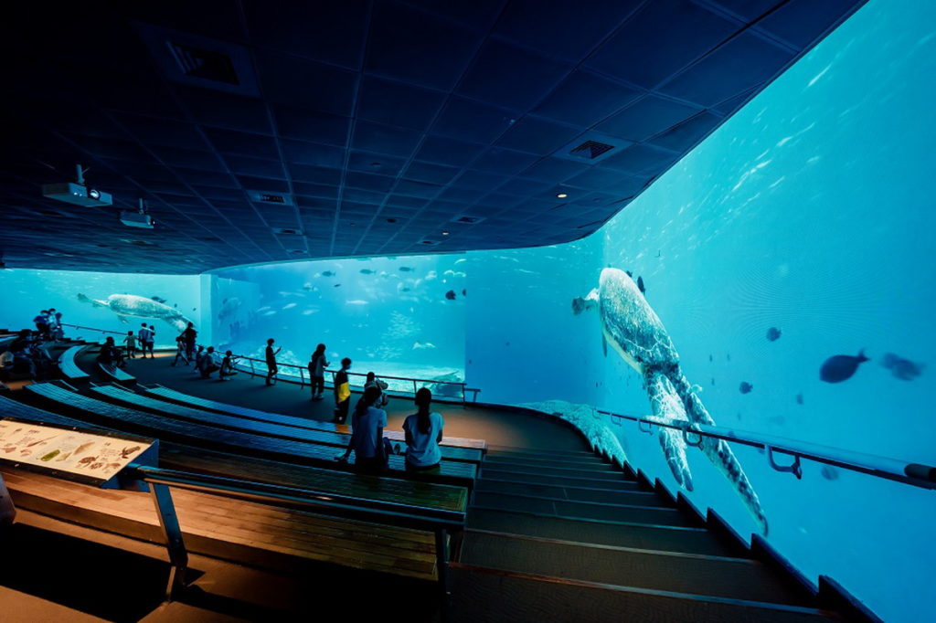 屏東海生館於台灣水域館最大的生態展示缸大洋池，打造虛實整合的環繞沉浸式投影場域