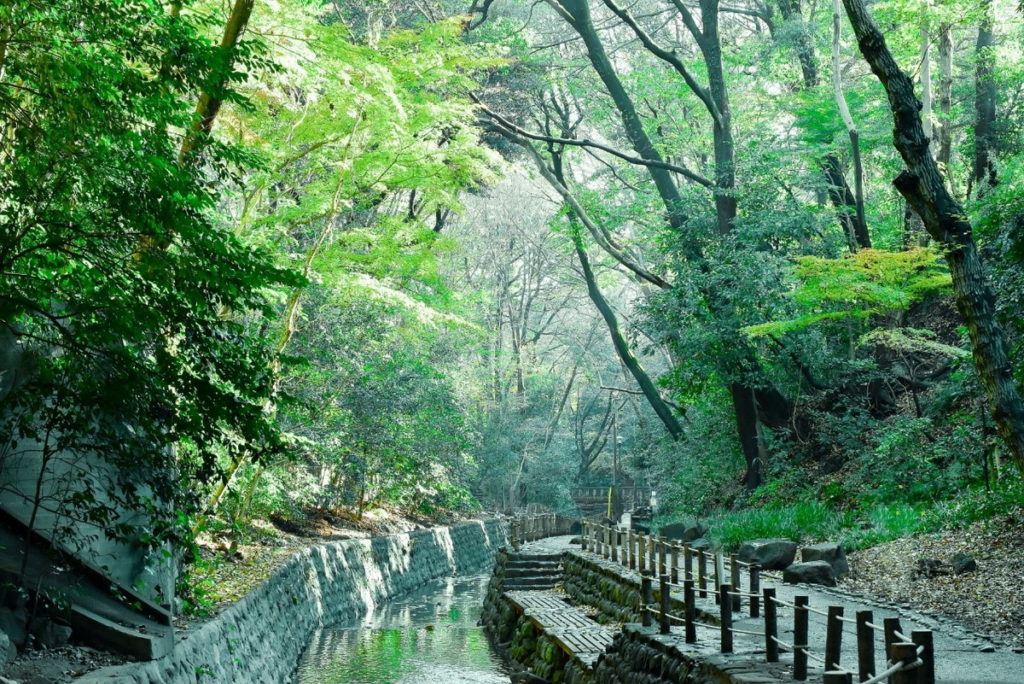 東京23區唯一的溪谷「等等力溪谷」。
