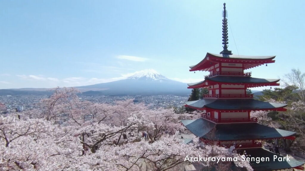 新倉山淺間公園有莊嚴的忠靈塔和富士山，配上春季盛開的櫻花，成為每位旅客的相機殺手。（ANA 提供）