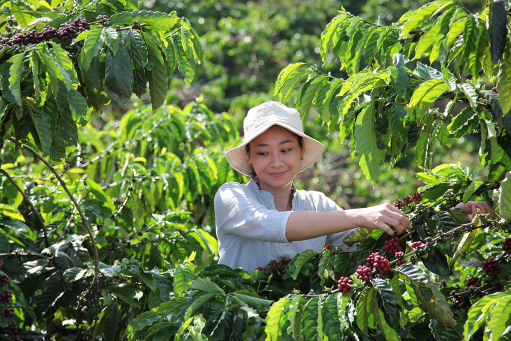 .雀巢全球宣布投入10億瑞郎，打造咖啡永續產業鏈。