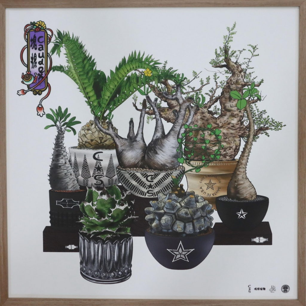 CODY SANDERSON CS品牌盆器與塊根植物畫作（轉印畫布） TWD$18,000