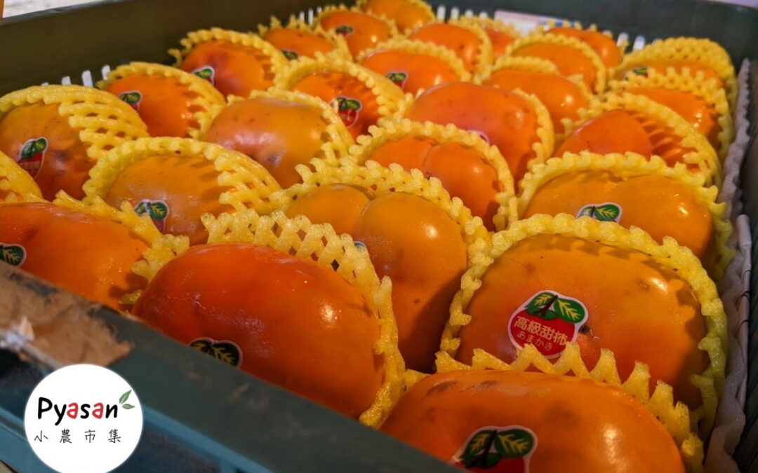桃園復興區Pyasan市集「甜蜜好柿多」農產展售