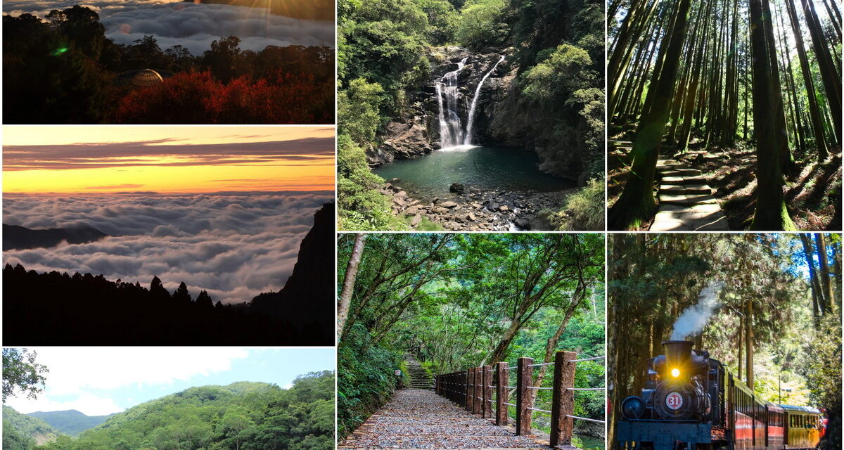 林務局以友善自然的永續旅行推出全台38條主題遊程 台灣普羅旺斯、最美天涯海角、異國花園秘境、絕美夜觀仙境