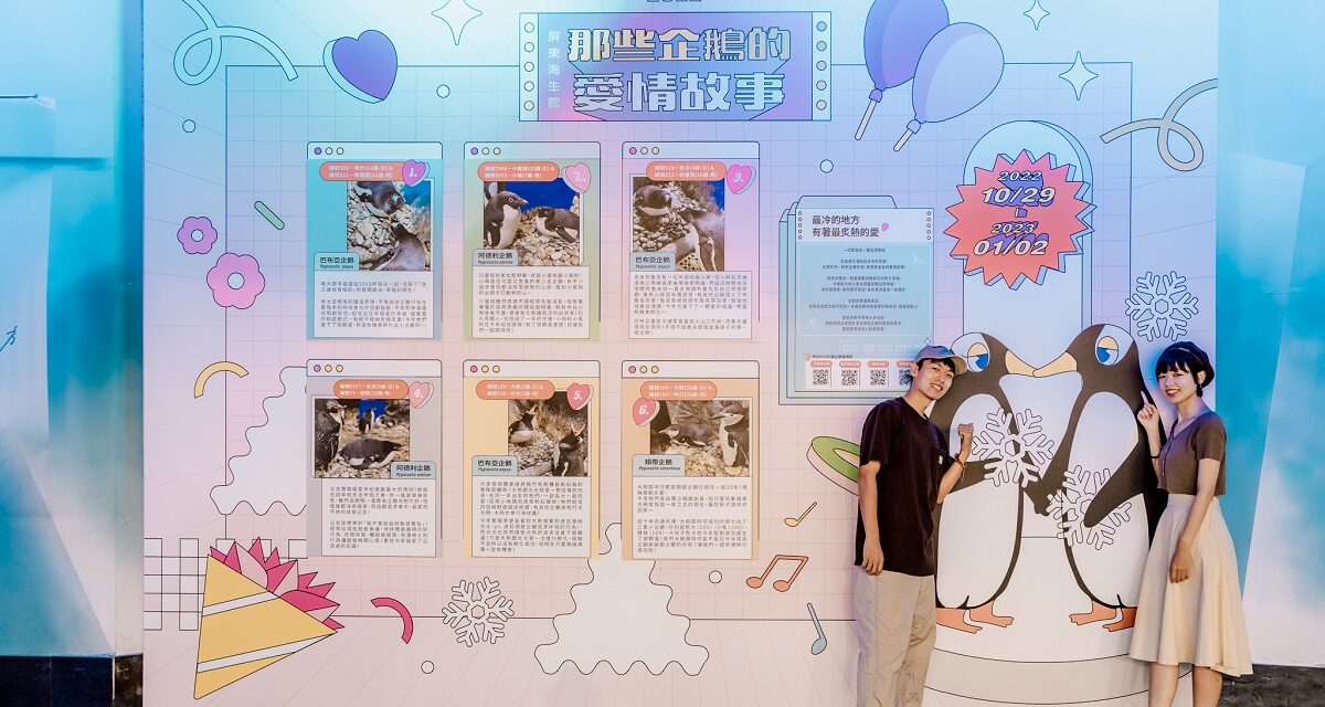 屏東海生館即日起至2023年1月2日驚喜推出「那些企鵝的愛情故事」季節限定活動