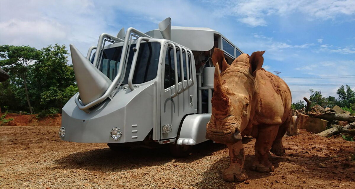 關西六福莊「友善大地住房專案」全球唯一的蘇丹犀望巴士體驗，不用去非洲就能跟犀牛近距離同樂，旅展價29,800元。(圖／六福旅遊集團提供)