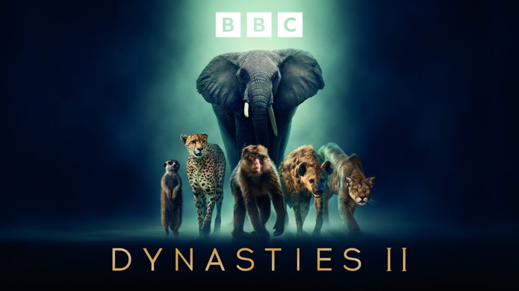 BBC 開創戲劇性動物紀錄片《王朝II》11月10日重磅登台