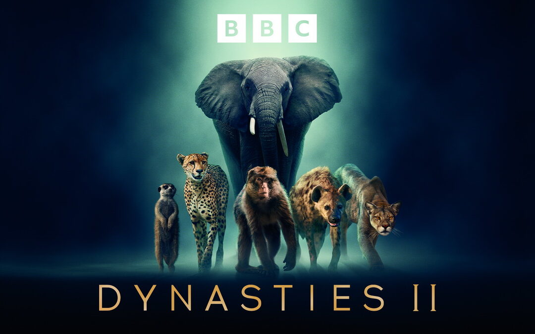 BBC 開創戲劇性動物紀錄片《王朝II》11/10日重磅登台