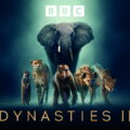 BBC 開創戲劇性動物紀錄片《王朝II》11月10日重磅登台