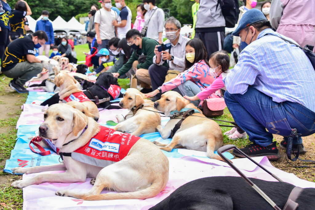 台灣導盲犬協會協同寄養家庭全員出動，安排執勤時認真專注的導盲犬卸下導盲鞍與背心，與民眾近距離接觸。(照片_遠東商銀提供)