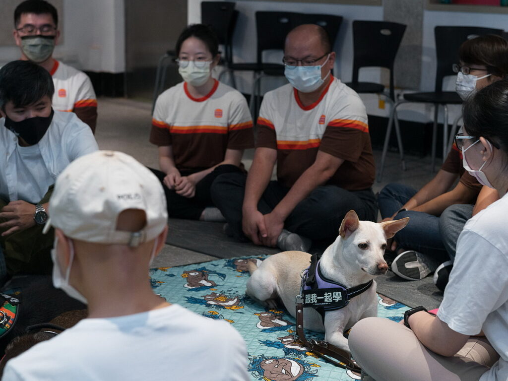 流浪犬透過訓練轉型為心輔犬，透過互動、陪伴傳遞療癒能量。漢堡王員工在員工日當天化身為志工和肯納基金會一起體驗心輔犬課程。