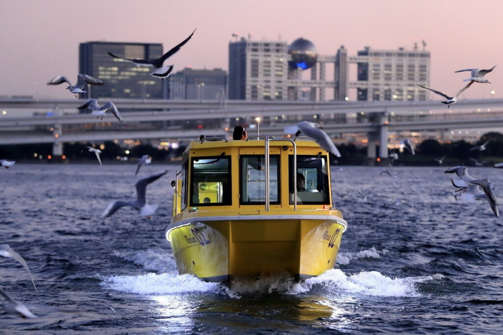11月至4月可以在美麗振翅的海鷗圍繞之中享受航行，讓旅客即使身處東京也能完成夢幻般的自然體驗。（圖片來源：ⒸTOKYO WATER TAXI）
