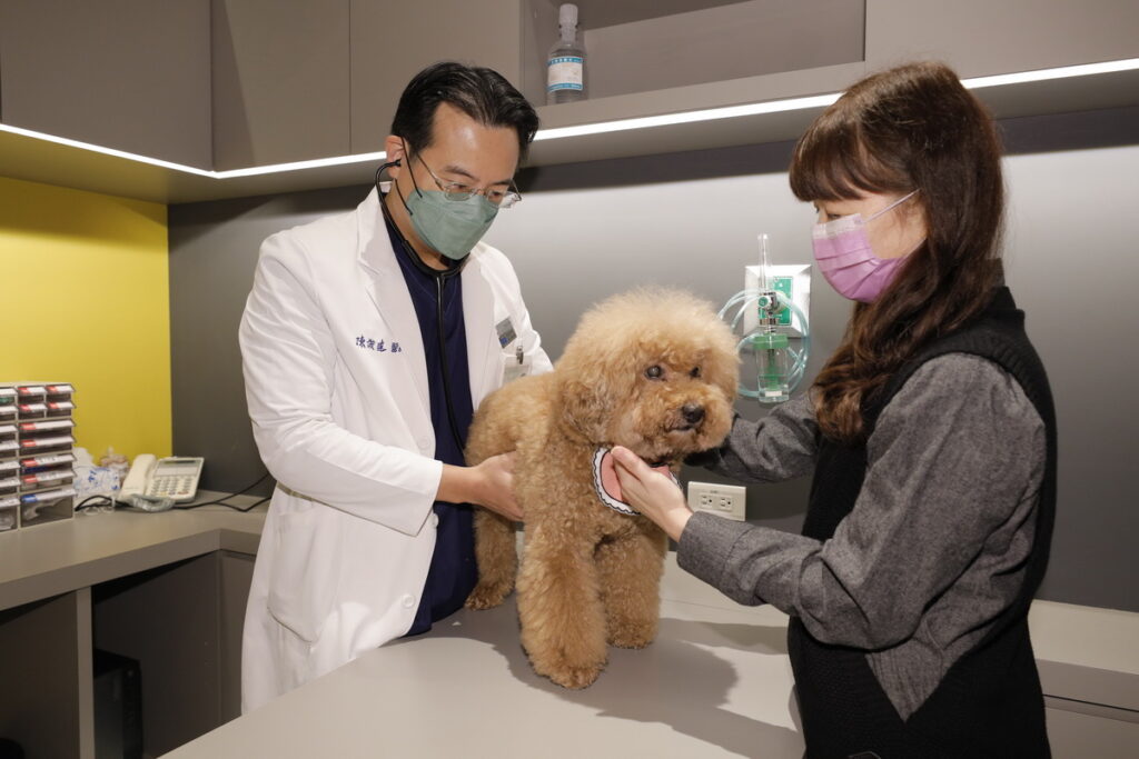 慈愛動物醫院進駐東森廣場開設分院，結合商場寵物醫療，為寵物飼主提供一條龍服務。