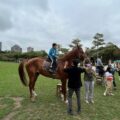 日前，東海大學舉辦馬術體驗營，吸引家長帶著小孩前來騎乘體驗。（圖/東海大學提供）