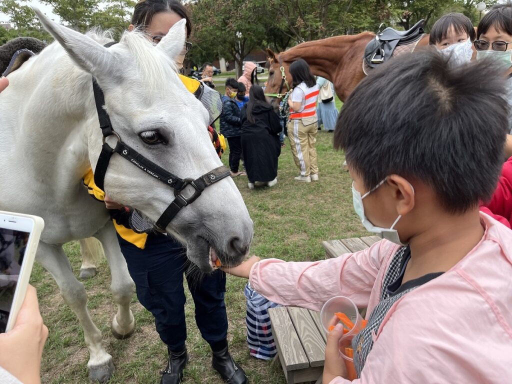 日前，東海大學舉辦馬術體驗營，吸引家長帶著小孩前來騎乘體驗。（圖/東海大學提供）
