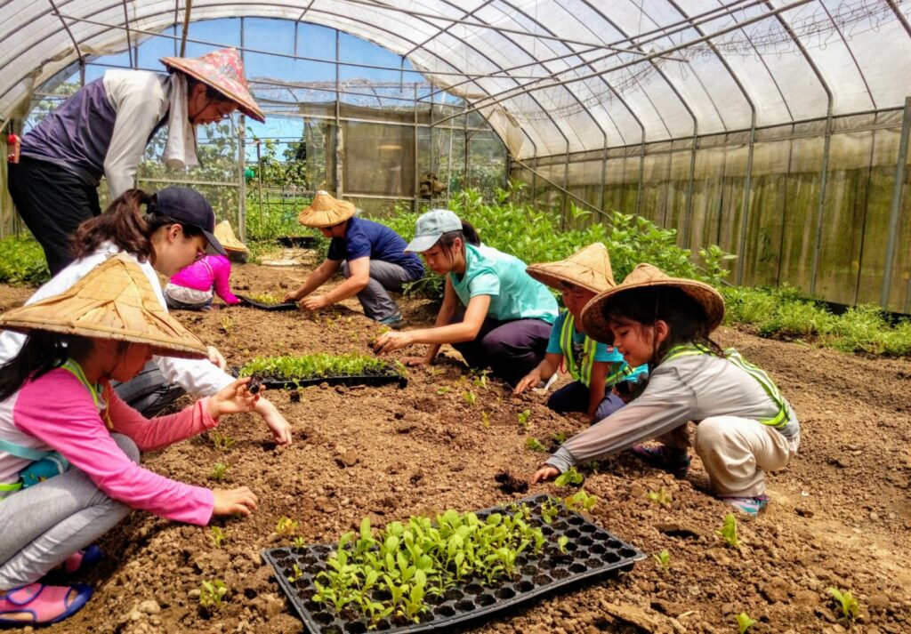 建蓁環境教育基金會致力於環境永續教育，舉辦親子體驗農作課程