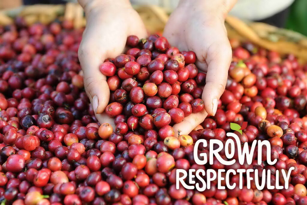 持續推進「雀巢咖啡永續計畫」，雀巢咖啡雲朵系列使用負責任採購的咖啡豆。
