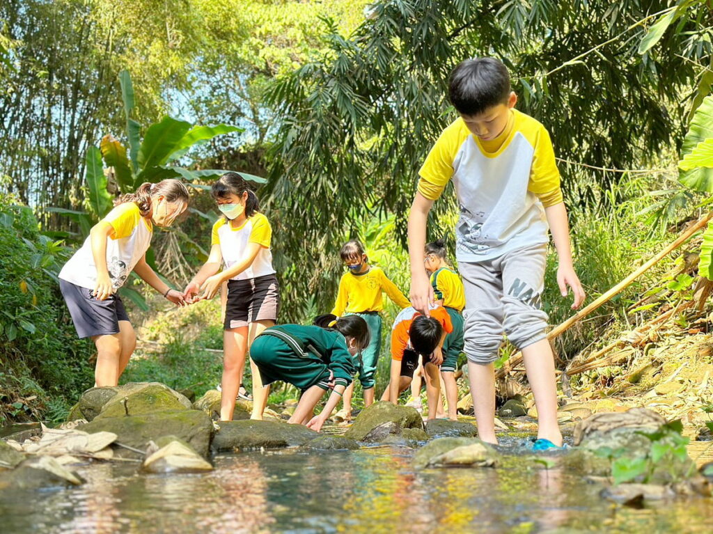 孩子們在淺山野溪中觀察自然