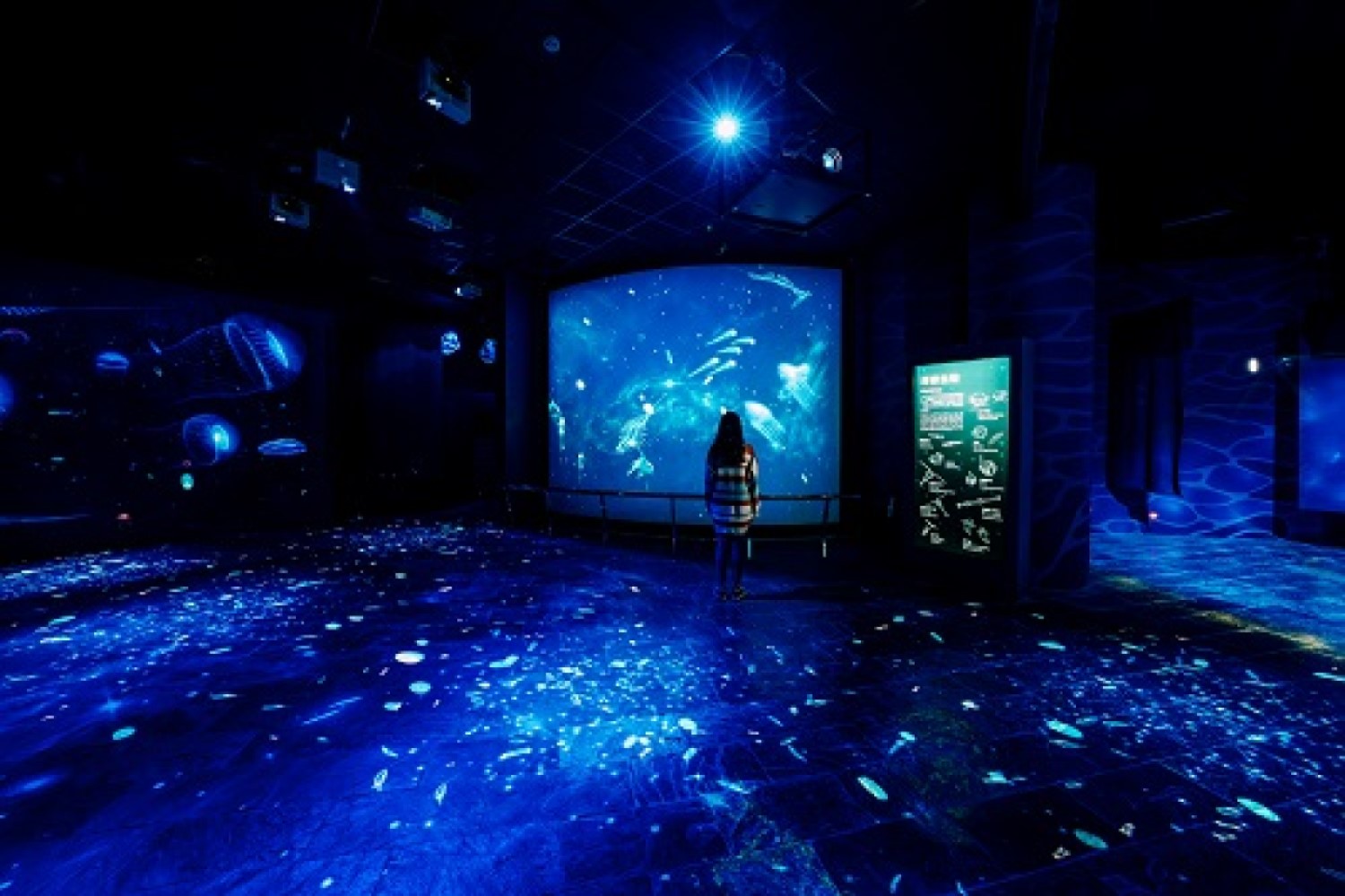 屏東海生館的互動投影展示「微光漂流」成為遊客熱門打卡景點。圖／屏東海生館提供