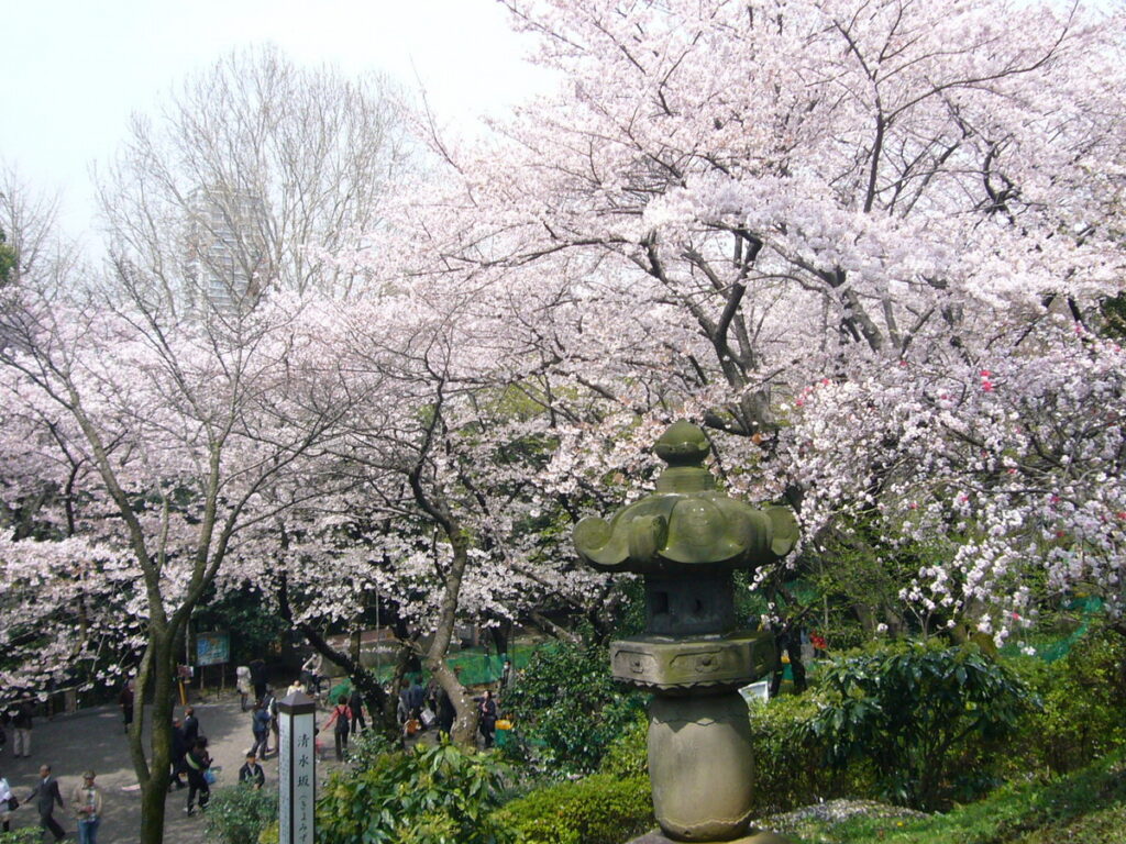 上野恩賜公園櫻花季，美不勝收。（圖片來源：©TCVB）