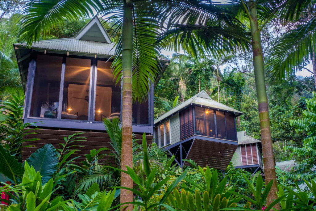 「Daintree Ecolodge」樹屋建築在雨林的樹冠之間，入住的旅客可欣賞鬱鬱蔥蔥的森林景觀。(圖片由Booking.com提供)