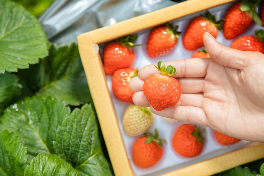 梅子、草莓等關鍵字搜尋熱度飆升，奧丁丁市集也精選新鮮草莓、青梅、梅子醃製品項與草莓系甜點，邀民眾一同享受酸甜好滋味。