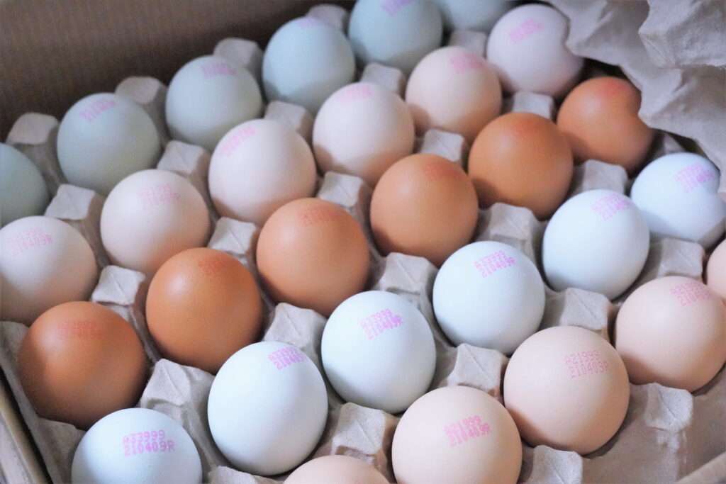 雞蛋是營養成分相當完整的食物，更有平民的蛋白質稱號
