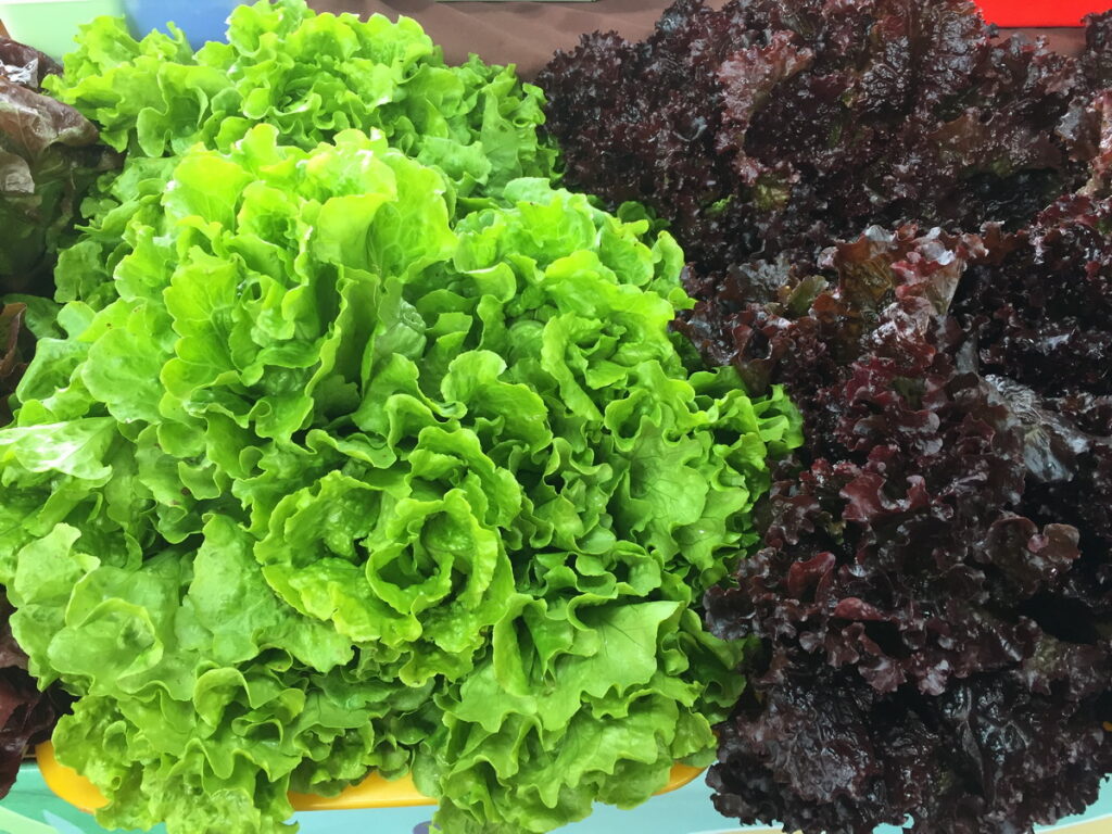 本周花博農民市集有來自彰化的有機蔬菜