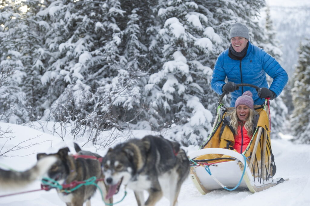 育空地區的狗拉雪橇行程帶來精彩刺激的雪地奔馳體驗