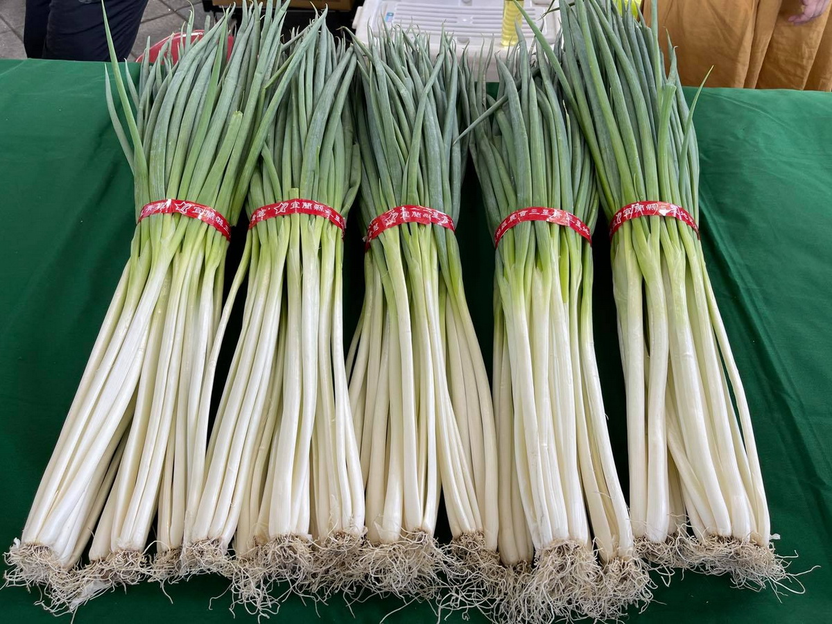 臺北花博農民市集力挺菜農 高麗菜促銷及宜蘭縣蔥滿理想暨農特產品展售活動 - 威傳媒新聞-WinNews