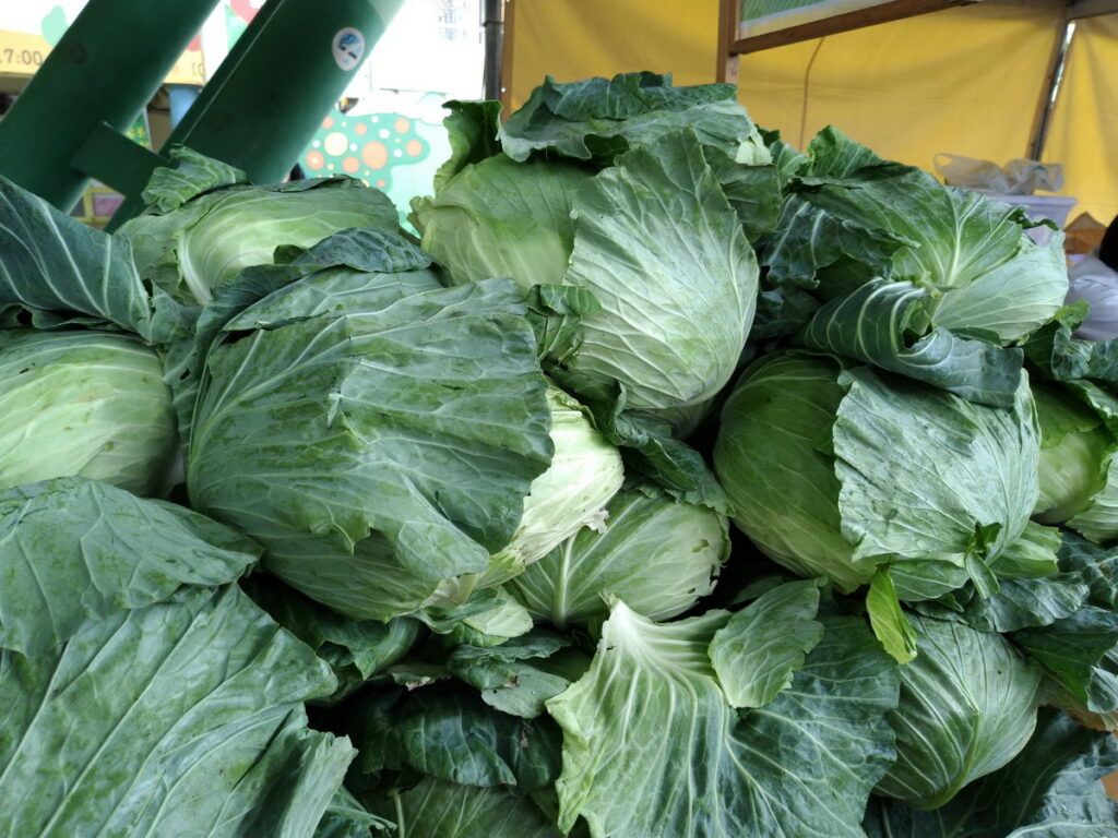 台北花博農民市集本周推出消費滿額贈高麗菜的活動