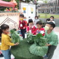 復國幼兒園孩子觀察高麗菜。圖／嘉義市政府提供