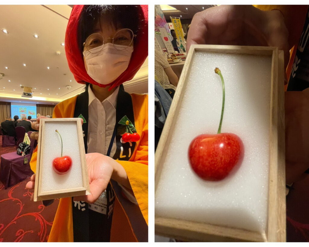 歷經20年以上歲月所培育出的新品種大顆櫻桃「山形紅王」，最大的特色就是它超大的果實
