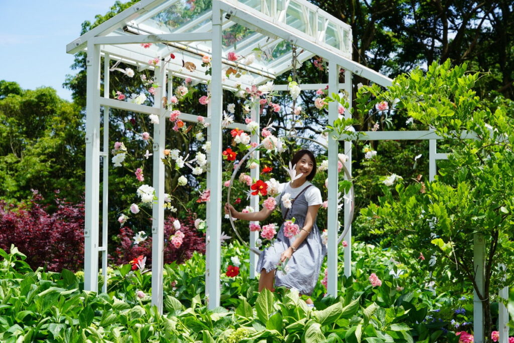 竹子湖繡球花季媒體體驗