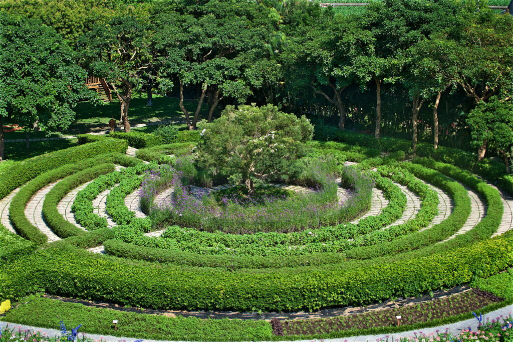 香草迷宮花園