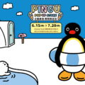 PINGU企鵝家族「夏日避暑趣」快閃店 6_15現身中和環球