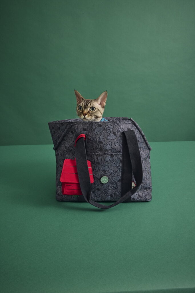 Kipling首度推出寵物包，包底加硬加厚設計，讓毛孩可以舒適站立，特別搭配紅色狗屋收納包，裝毛孩零食或折疊水杯都OK，又萌又實用！