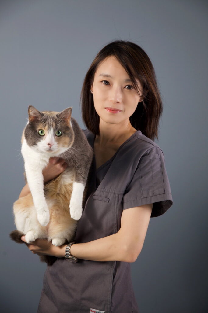 貓專科獸師郭嵐忻說，貓科動物特別會隱藏⾃⼰的不舒服與疼痛，飼主宜特別注意。（圖片提供：小王子動物醫院）