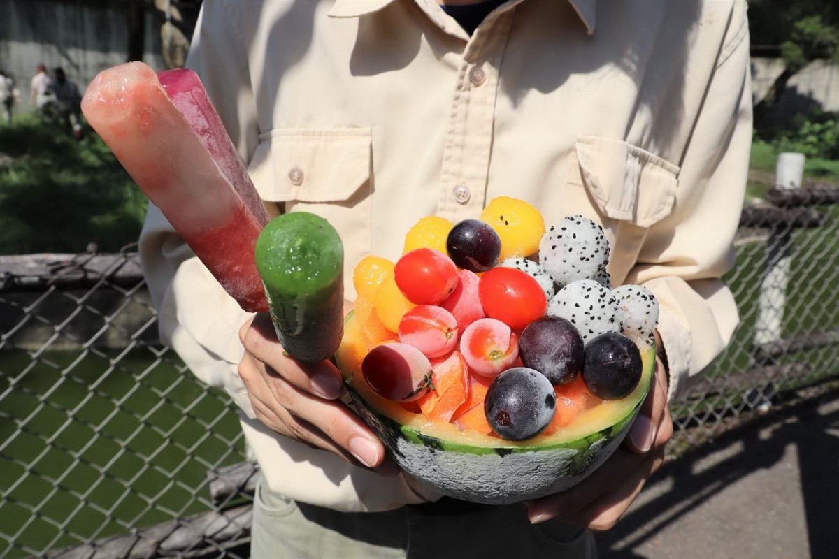 為了慶祝六福村44歲生日，六福村動物管理團隊特製繽紛水果盅及果汁冰棒給動物們享用!