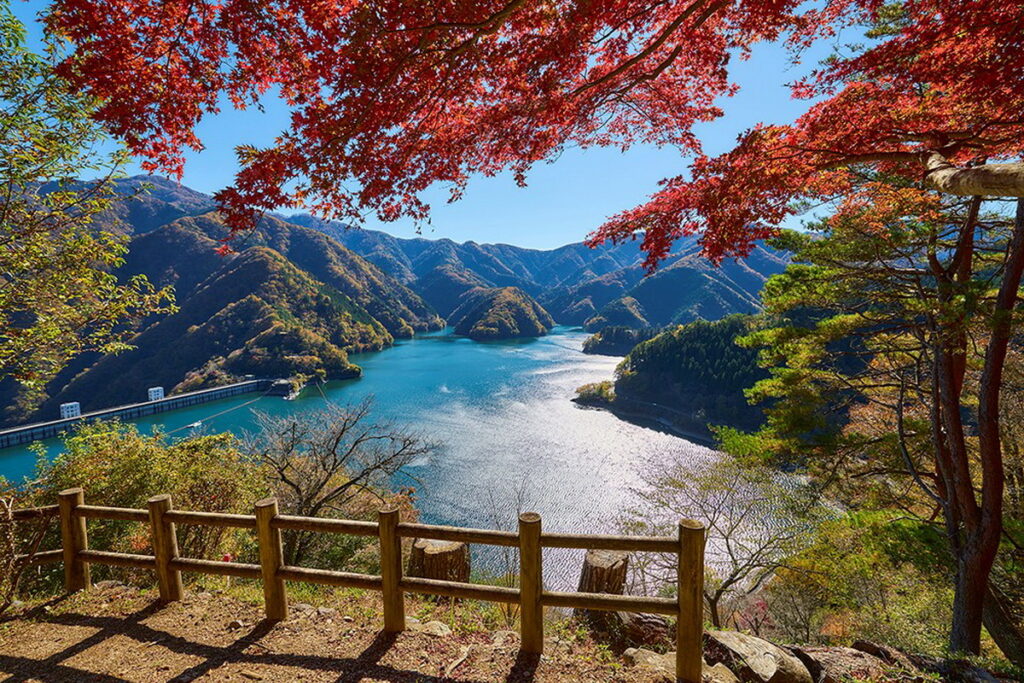 東京多摩地區大自然環抱的奥多摩湖，到了秋季周邊染上楓紅，景色更是迷人。（ⒸTCVB）